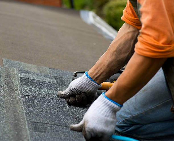 Best Roof Maintenance Services  in Glen Dale, WV